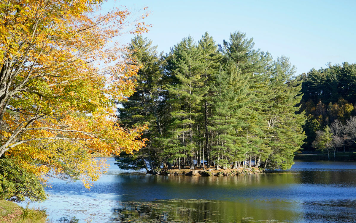 Fall Colors 5